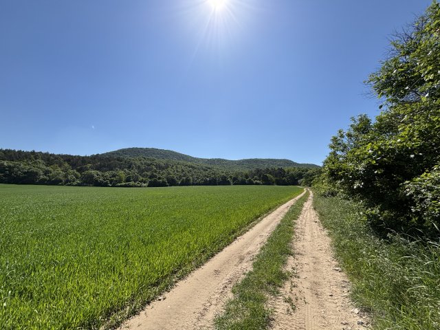 Eladó telek, Piliscséven 3.2 M Ft / költözzbe.hu