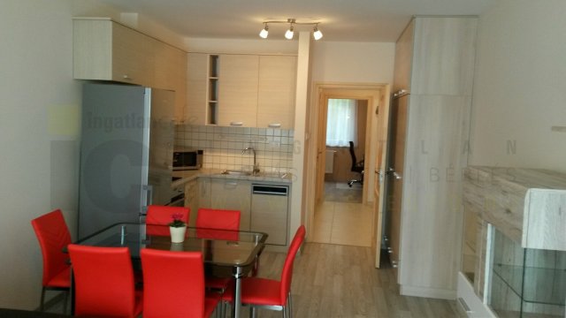 Kiadó téglalakás, albérlet, Szegeden 195 E Ft / hó, 1+1 szobás