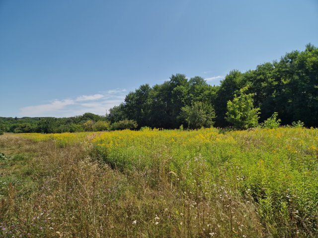 Eladó telek, Balatonberényben, Ady Endre utcában 10 M Ft