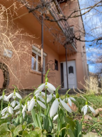 Eladó családi ház Tapolca