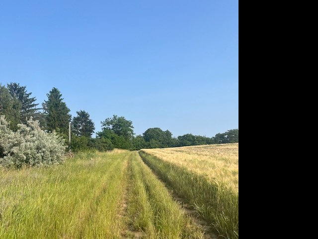 Eladó mezogazdasagi ingatlan, Környén 19.9 M Ft