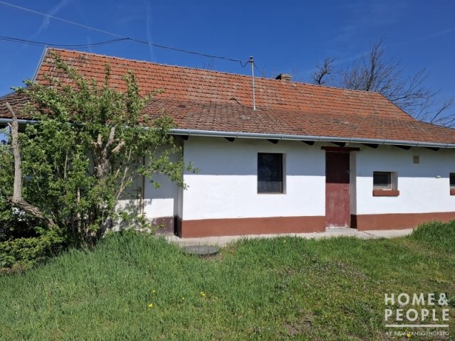 Eladó családi ház, Balástyán 19.99 M Ft, 3 szobás