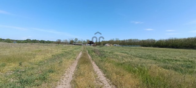 Eladó telek, Debrecenben 119.99 M Ft / költözzbe.hu