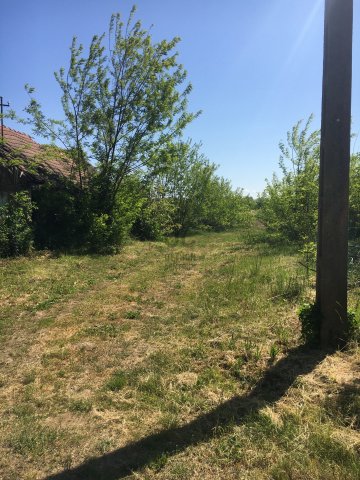 Eladó telek, Nyíregyházán 19.5 M Ft / költözzbe.hu