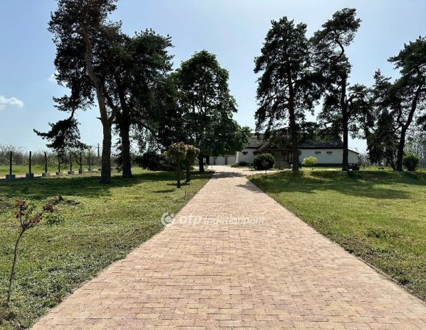 Eladó mezogazdasagi ingatlan, Dánszentmiklóson 124 M Ft