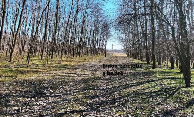Eladó családi ház, Nyárlőrincen 18.9 M Ft, 1 szobás