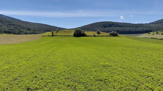 Eladó telek, Piliscséven 13.3 M Ft / költözzbe.hu