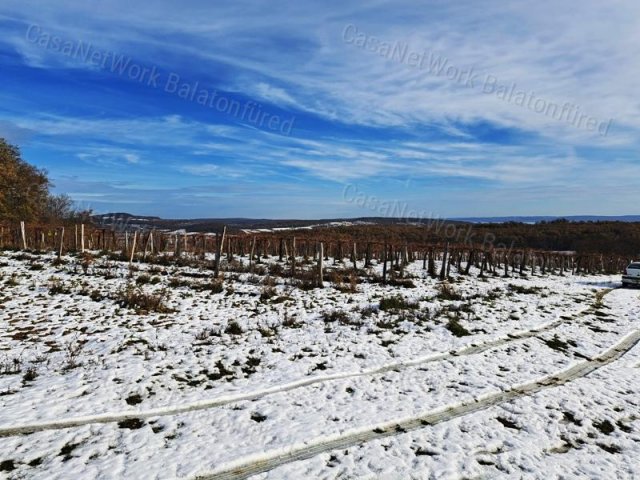 Eladó mezogazdasagi ingatlan, Balatoncsicsón 4.3 M Ft