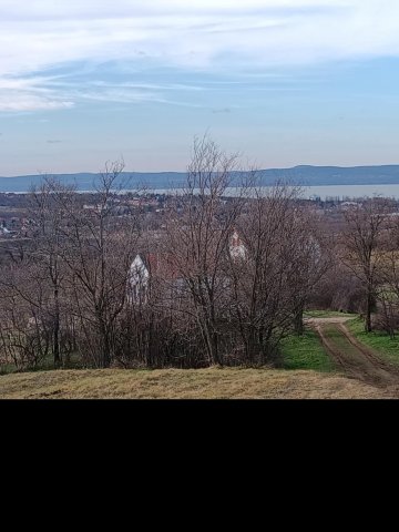 Eladó telek, Kőröshegyen 42 M Ft / költözzbe.hu