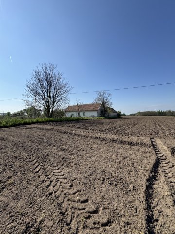 Eladó mezogazdasagi ingatlan, Forráskúton 38 M Ft