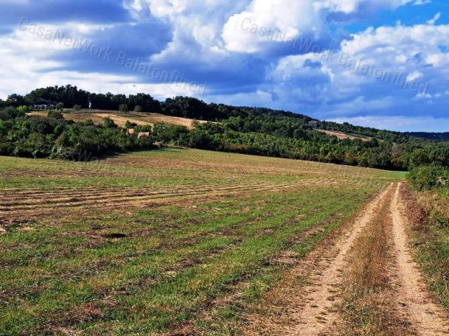 Eladó mezogazdasagi ingatlan, Vászolyon 20.5 M Ft