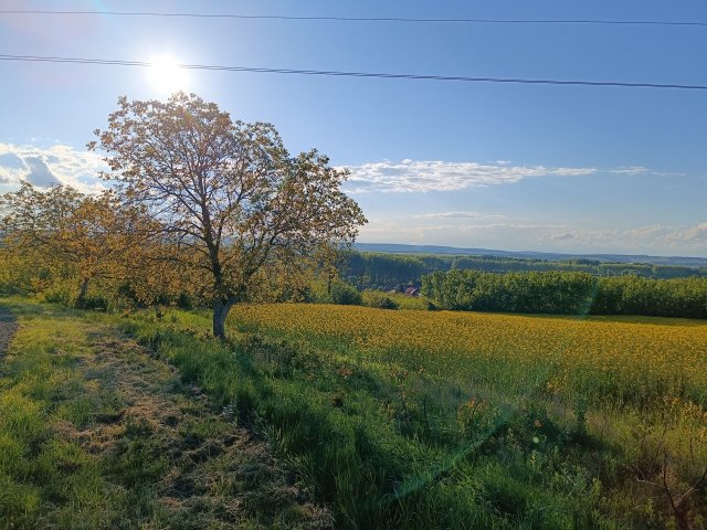 Eladó családi ház, Hernádcécén 3.9 M Ft, 2 szobás