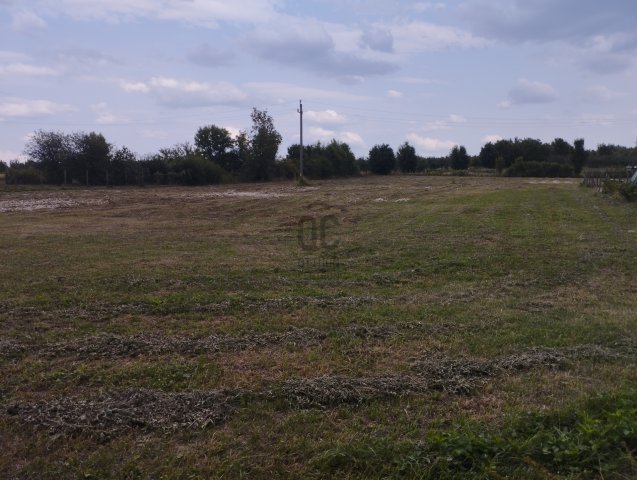 Eladó telek, Nógrádon 38 M Ft / költözzbe.hu