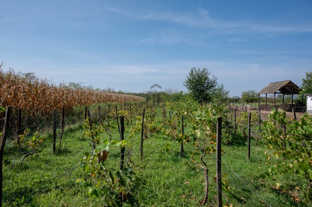 Eladó mezogazdasagi ingatlan, Hajdúszoboszlón 12.5 M Ft