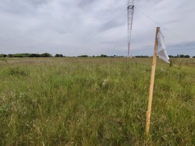Eladó telek, Szigetszentmiklóson 10 M Ft / költözzbe.hu