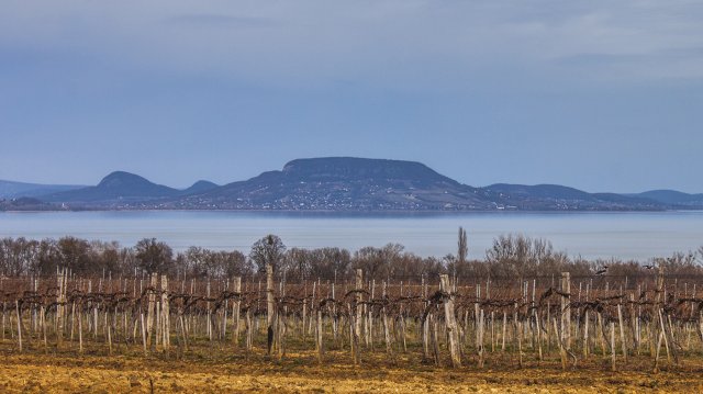 Eladó telek, Balatonkeresztúron 22 M Ft / költözzbe.hu