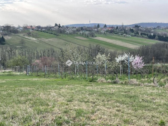 Eladó telek, Zalaegerszegen 7.2 M Ft / költözzbe.hu