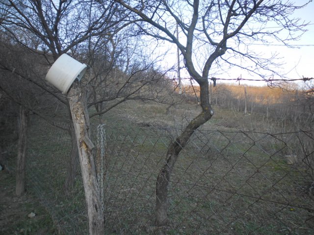 Eladó családi ház, Szekszárdon 17 M Ft, 2 szobás