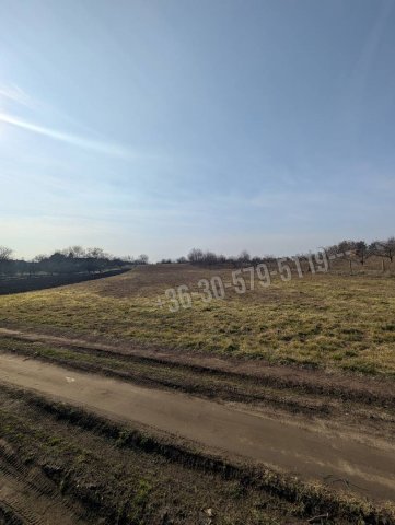 Eladó telek, Orosházán 2 M Ft / költözzbe.hu
