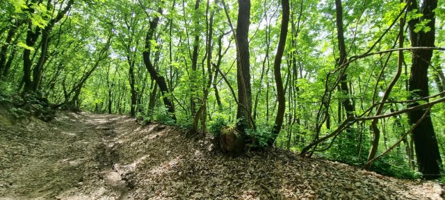 Eladó mezogazdasagi ingatlan, Csabdiban 59.9 M Ft