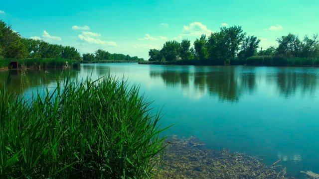 Eladó telek, Tószegen 2.6 M Ft / költözzbe.hu