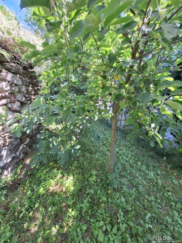 Eladó téglalakás, Sopronban 70 M Ft, 3+1 szobás