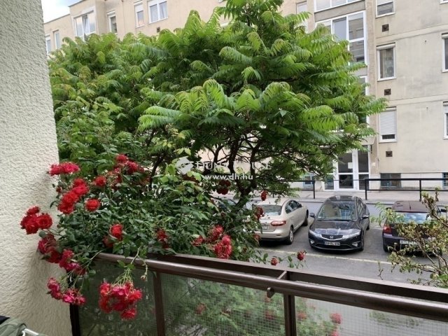 Eladó panellakás, Budapesten, XV. kerületben 68 M Ft, 3 szobás
