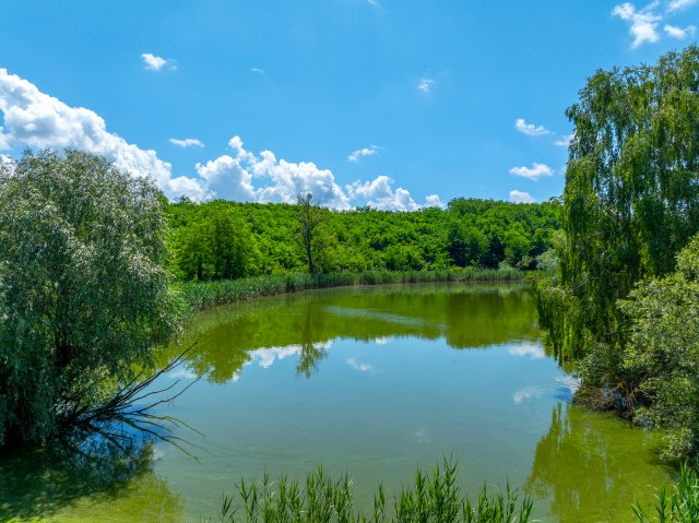 Eladó családi ház, Balatonendréden 1375.255 M Ft, 4 szobás