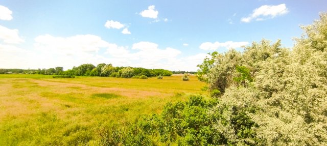 Eladó mezogazdasagi ingatlan, Pusztaszeren 32 M Ft, 5 szobás