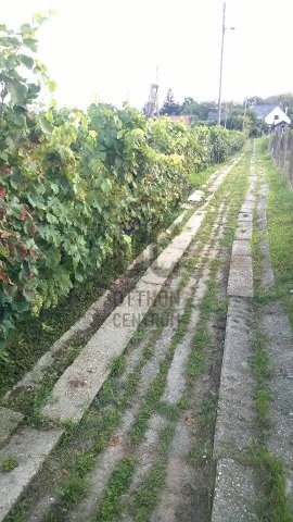 Eladó telek, Szekszárdon 35 M Ft / költözzbe.hu