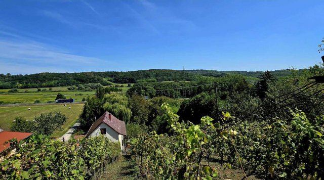 Eladó mezogazdasagi ingatlan, Zalaegerszegen, Gévahegyi úton