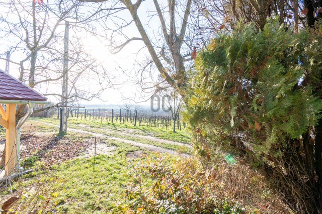 Eladó családi ház, Lepsényben 19.5 M Ft, 2 szobás