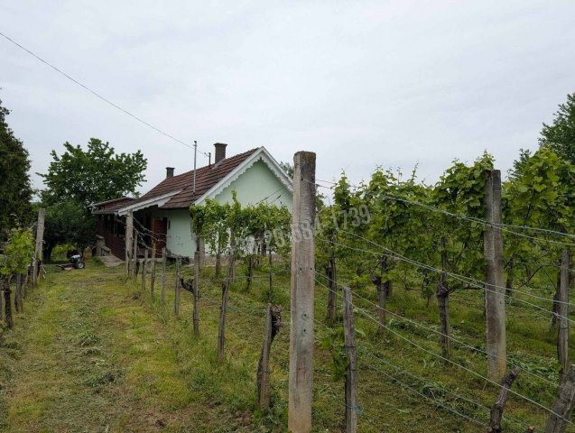 Eladó nyaraló, Csapiban 13.9 M Ft, 2 szobás