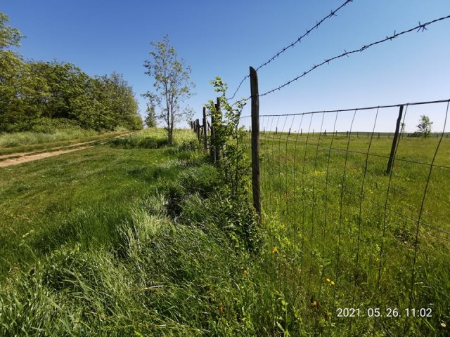 Eladó telek, Harkán 125 M Ft / költözzbe.hu