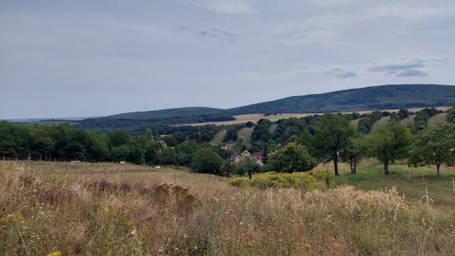 Eladó családi ház, Lókúton 37.8 M Ft, 6 szobás