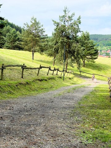 Eladó nyaraló, Bükkszéken 199 M Ft, 7 szobás