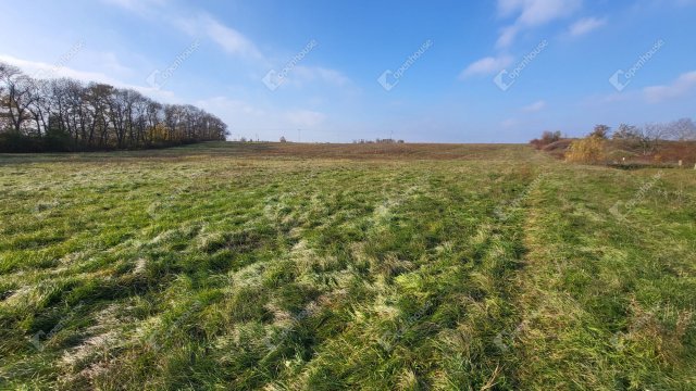 Eladó mezogazdasagi ingatlan, Mezőkövesden 107 M Ft