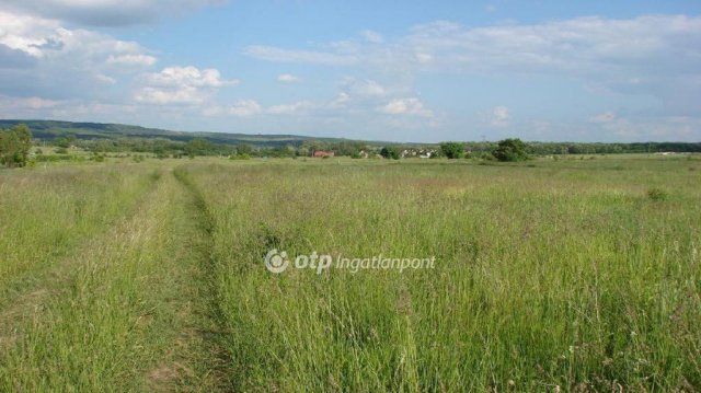 Eladó mezogazdasagi ingatlan, Sopronban 28 M Ft