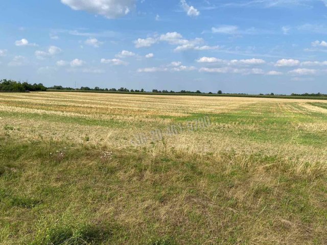 Eladó telek, Mezőörsön 18.9 M Ft / költözzbe.hu