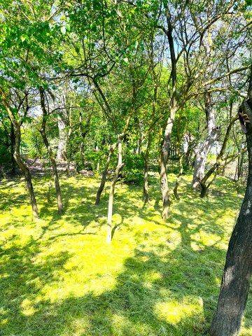 Eladó családi ház, Únyon 16.5 M Ft, 2 szobás
