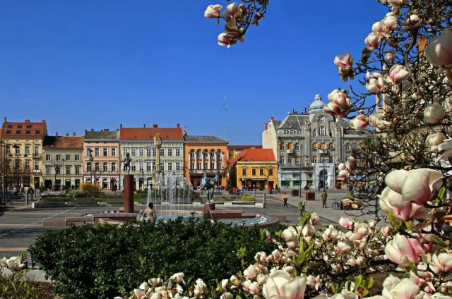 Kiadó téglalakás, albérlet, Szombathelyen, Fő téren, 1 szobás