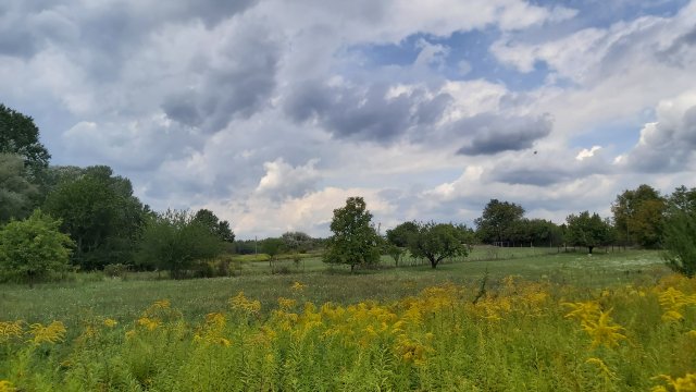 Eladó telek, Vértesszőlősön, Baromállási dűlőn 4.5 M Ft