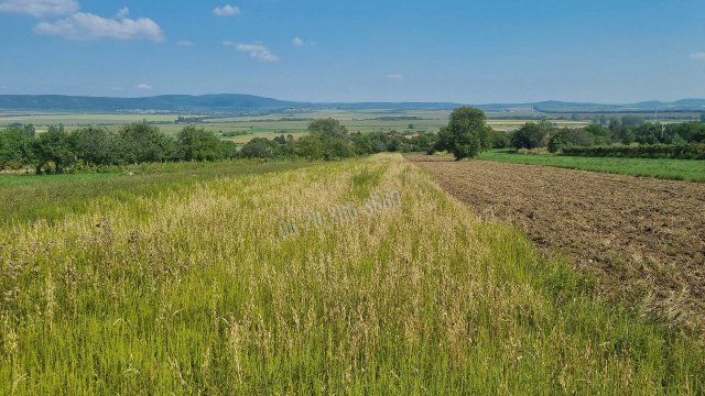 Eladó telek, Tökön 12 M Ft / költözzbe.hu