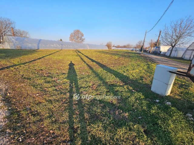 Eladó telek, Szentesen 1.55 M Ft / költözzbe.hu