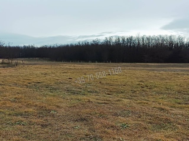 Eladó telek, Őrbottyánban 10 M Ft / költözzbe.hu