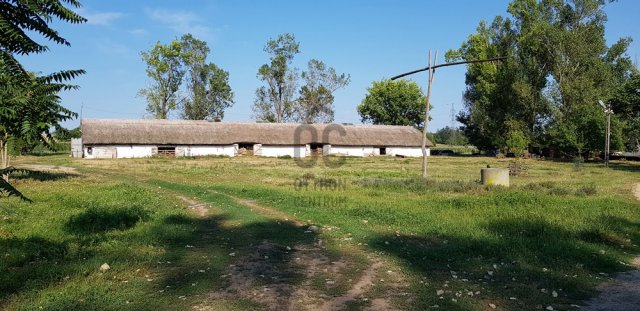 Eladó telek, Nagytarcsán 150 M Ft / költözzbe.hu