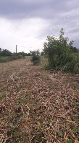 Eladó telek, Balatonszabadiban 7 M Ft / költözzbe.hu