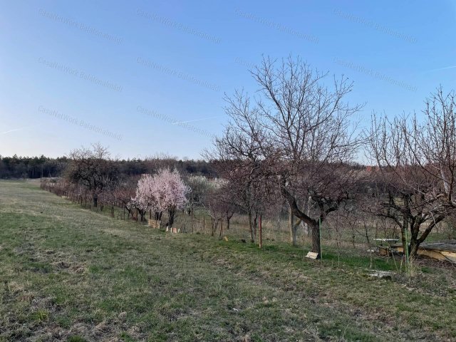 Eladó nyaraló, Balatonalmádiban 24 M Ft / költözzbe.hu