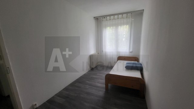 Kiadó panellakás, albérlet, Szegeden 110 E Ft / hó, 2 szobás