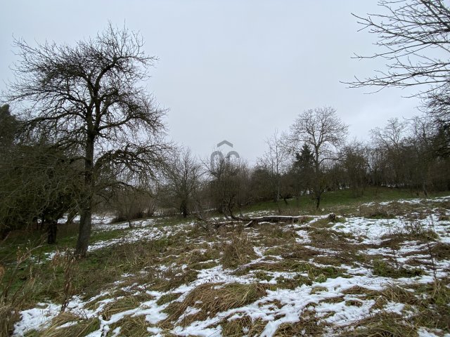 Eladó telek, Homokkomáromon 5.5 M Ft / költözzbe.hu